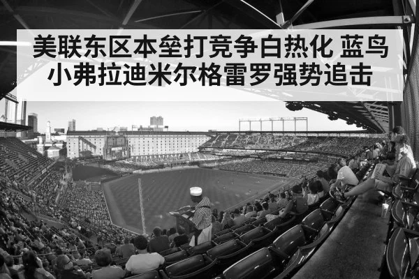 美联东区本垒打竞争白热化 蓝鸟小弗拉迪米尔格雷罗强势追击