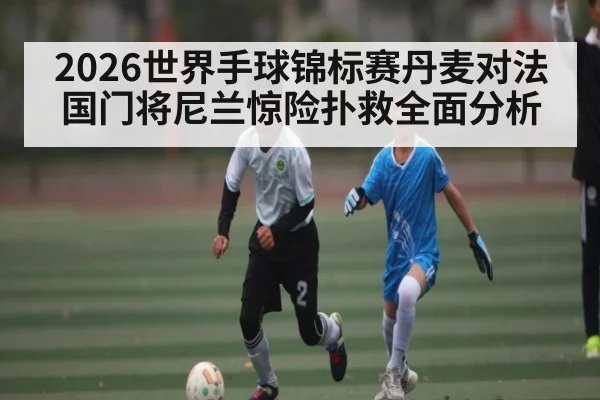 2026世界手球锦标赛丹麦对法国门将尼兰惊险扑救全面分析