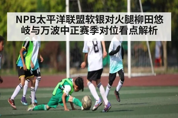 NPB太平洋联盟软银对火腿柳田悠岐与万波中正赛季对位看点解析